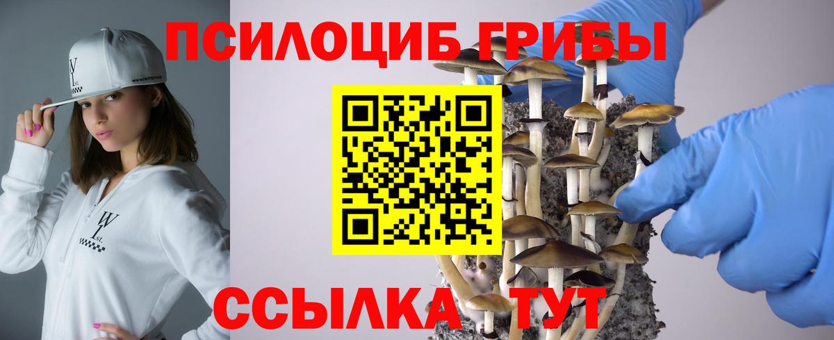 Псилоцибиновые грибы Psilocybine cubensis Дербент